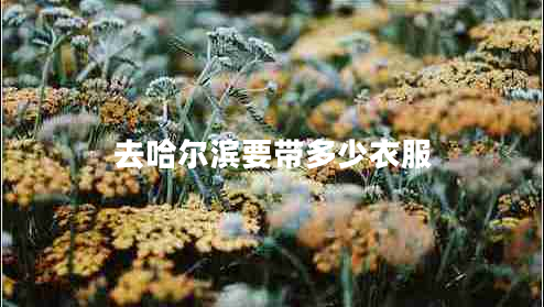 去哈尔滨要带多少衣服