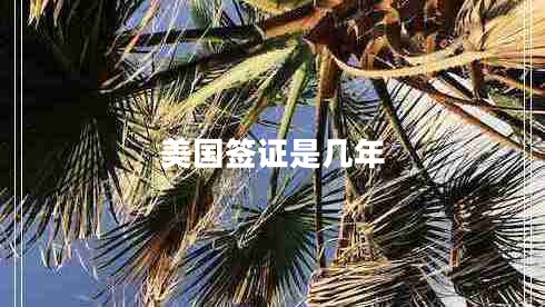 美国签证是几年