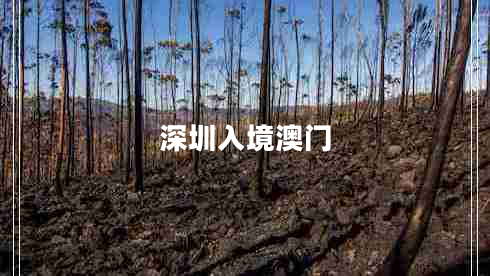 深圳入境澳门