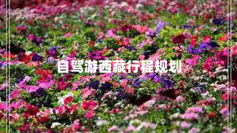 自驾游西藏行程规划