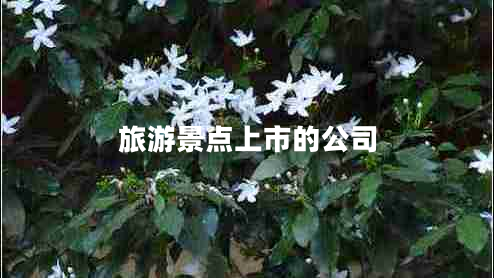 旅游景点上市的公司