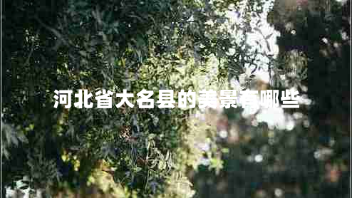 河北省大名县的美景有哪些