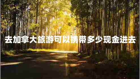去加拿大旅游可以携带多少现金进去