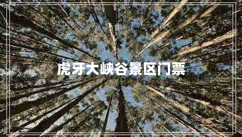虎牙大峡谷景区门票