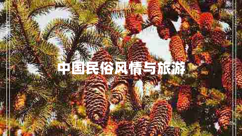 中国民俗风情与旅游