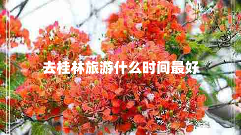 去桂林旅游什么时间最好