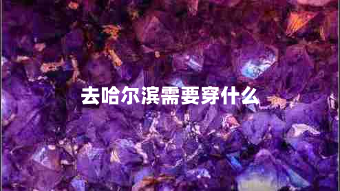 去哈尔滨需要穿什么 去哈尔滨需要穿什么