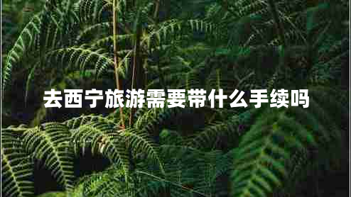 去西宁旅游需要带什么手续吗 去西宁旅游需要带什么手续吗