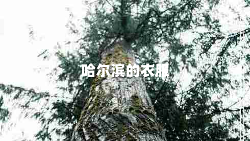 哈尔滨的衣服