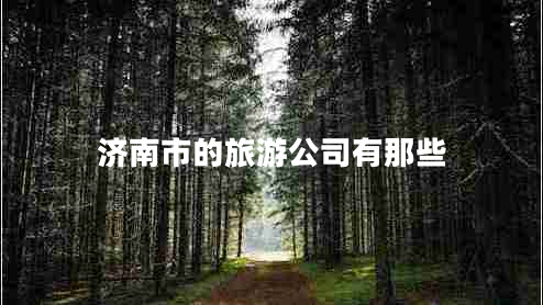济南市的旅游公司有那些