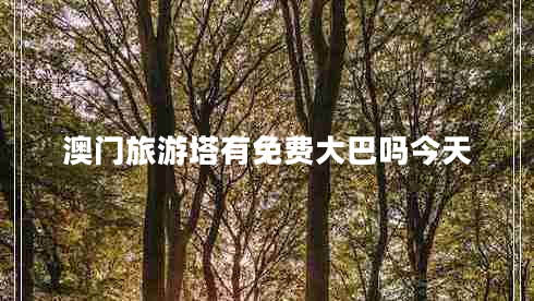 澳门旅游塔有免费大巴吗今天