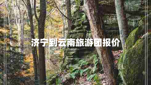 济宁到云南旅游团报价