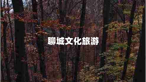 聊城文化旅游
