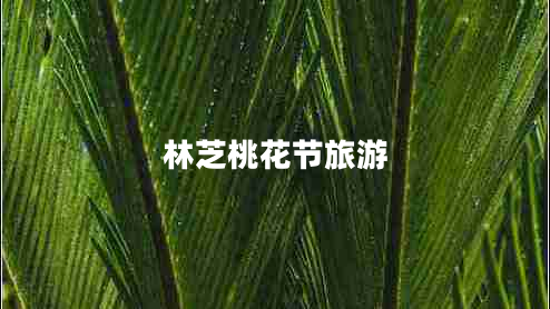 林芝桃花节旅游