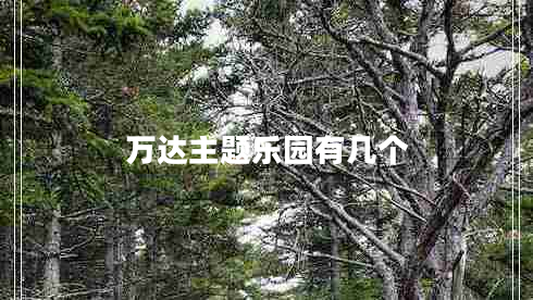 万达主题乐园有几个