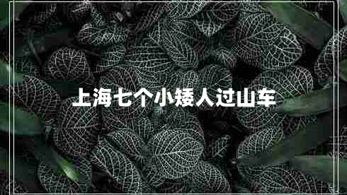 上海七个小矮人过山车