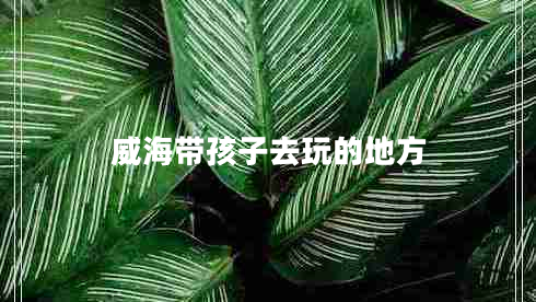 威海带孩子去玩的地方