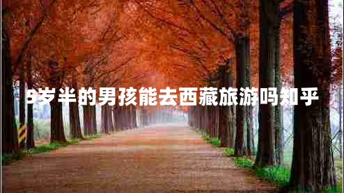 5岁半的男孩能去西藏旅游吗知乎