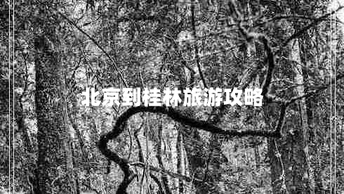 北京到桂林旅游攻略