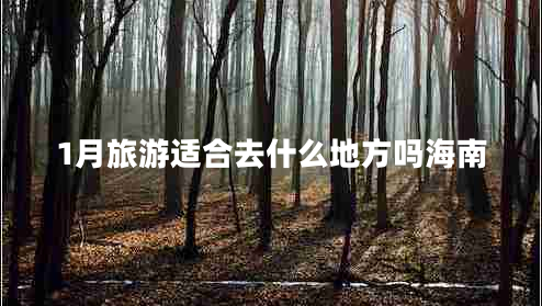 1月旅游适合去什么地方吗海南
