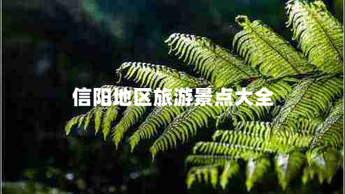 信阳地区旅游景点大全