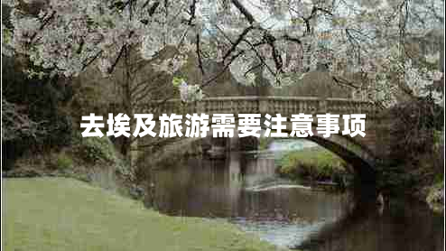 去埃及旅游需要注意事项