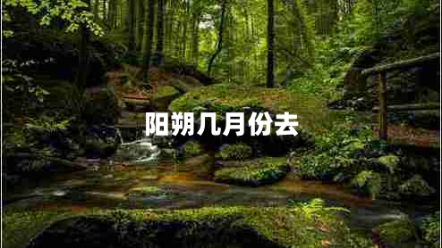 阳朔几月份去