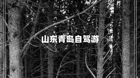 山东青岛自驾游