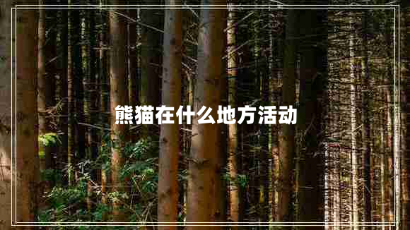 熊猫在什么地方活动