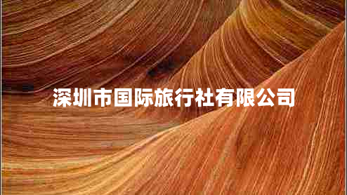 深圳市国际旅行社有限公司