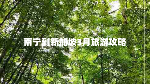 南宁到新加坡3月旅游攻略