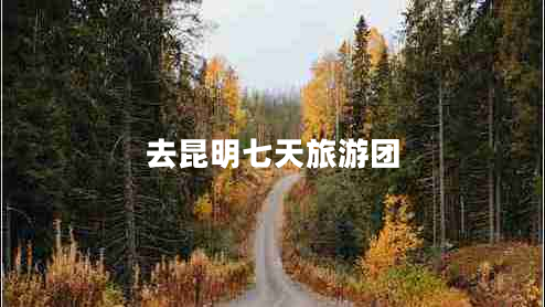 去昆明七天旅游团