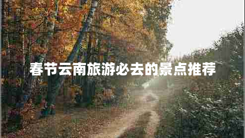 春节云南旅游必去的景点推荐