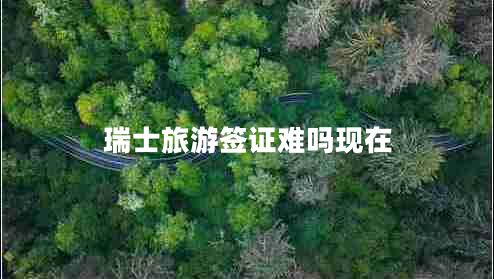 瑞士旅游签证难吗现在