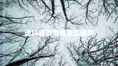 迪拜旅游消费怎么样啊