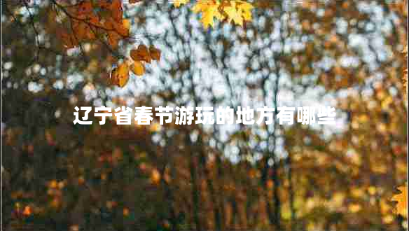 辽宁省春节游玩的地方有哪些