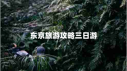 东京旅游攻略三日游 东京旅游攻略三日游