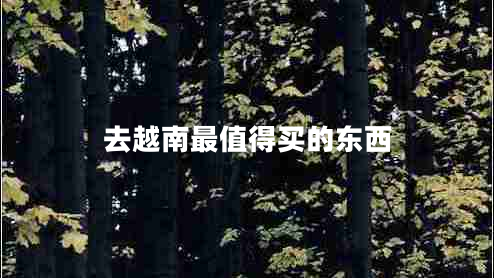 去越南最值得买的东西