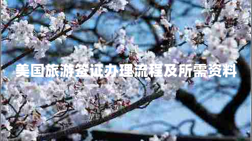 美国旅游签证办理流程及所需资料