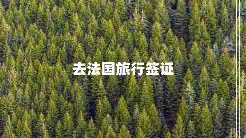 去法国旅行签证