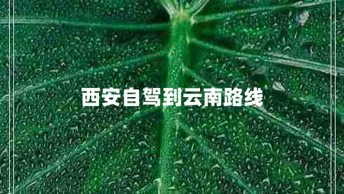 西安自驾到云南路线