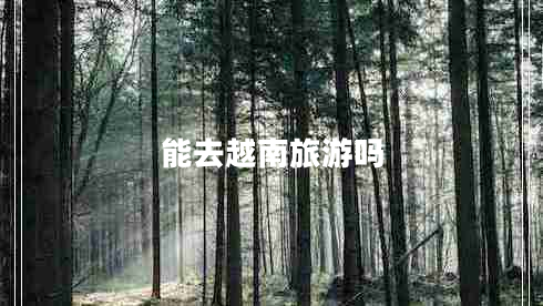 能去越南旅游吗