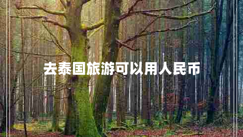去泰国旅游可以用人民币