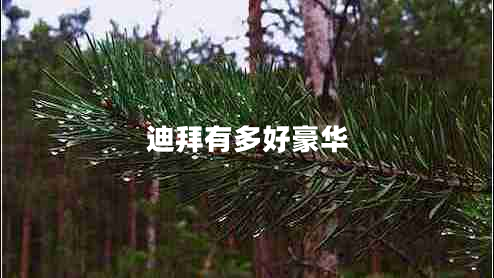 迪拜有多好豪华