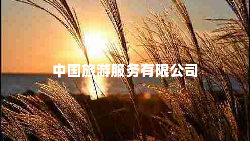 中国旅游服务有限公司