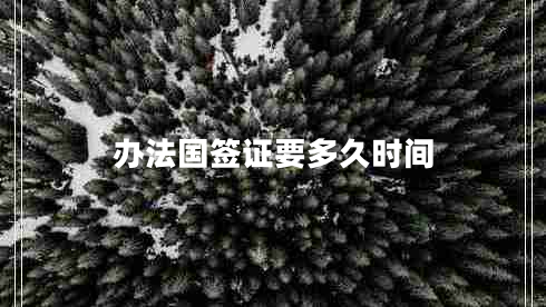办法国签证要多久时间