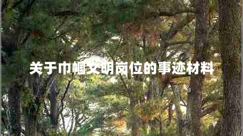 关于巾帼文明岗位的事迹材料