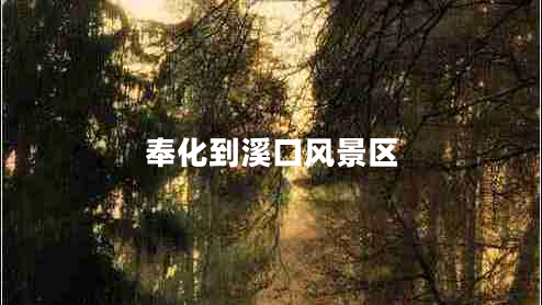奉化到溪口风景区