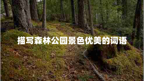 描写森林公园景色优美的词语