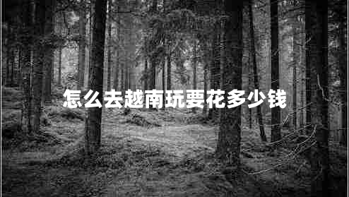 怎么去越南玩要花多少钱